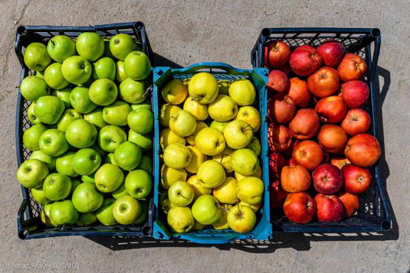 شركات إستيراد مضمون للتفاح اليوناني