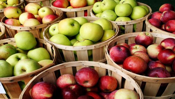 تصدير و توزيع التفاح صيني بطرق امنة