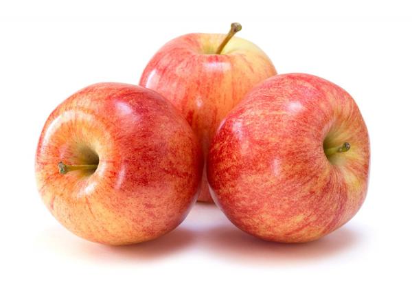 أسعار تصدير تفاح أبيض صيني بالجملة