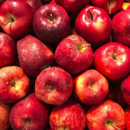 العوامل المؤثرة على نمو التفاح