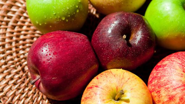 محلات بيع تفاح ملون بسعر مناسب