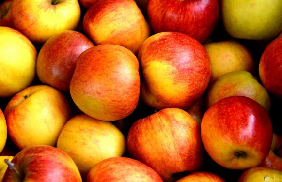 كمية التفاح الملون المتوفرة في السوق