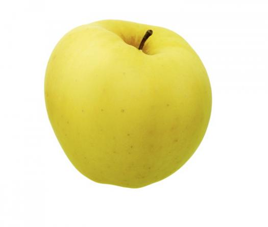 تحقق من أسعار التفاح في الأسواق الخارجية والمحلية
