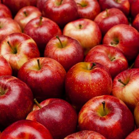 قائمة أسعار تفاح احمر