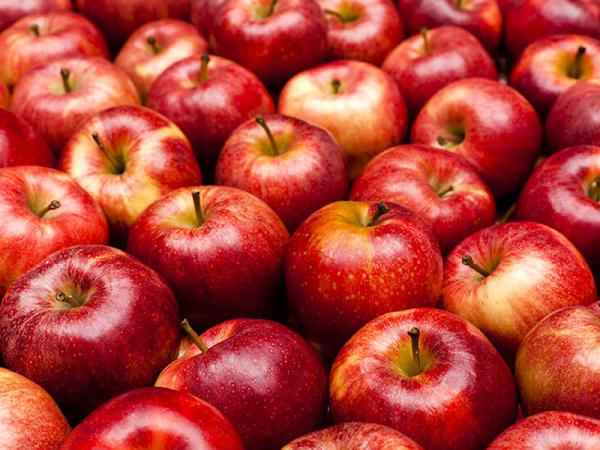 لماذا يعتبر توريد تفاح مهمًا جدًا للعديد من المستهلكين؟