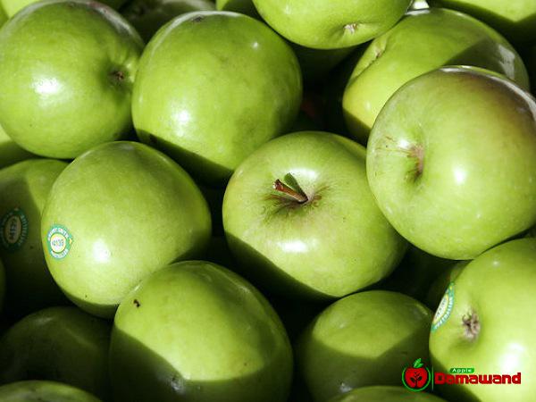 سعر كيلو التفاح الأخضر للبیع بالجملة