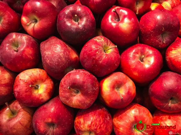 العوامل المؤثرة علی أسعار التفاح