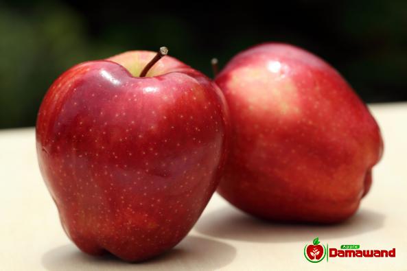 شرکة إستیراد وتصدير التفاح