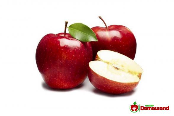 طرق تصدیر التفاح إلى البلدان المختلفة