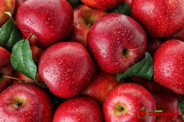 هل التفاح الیاباني متوقر في أسواق إيران؟