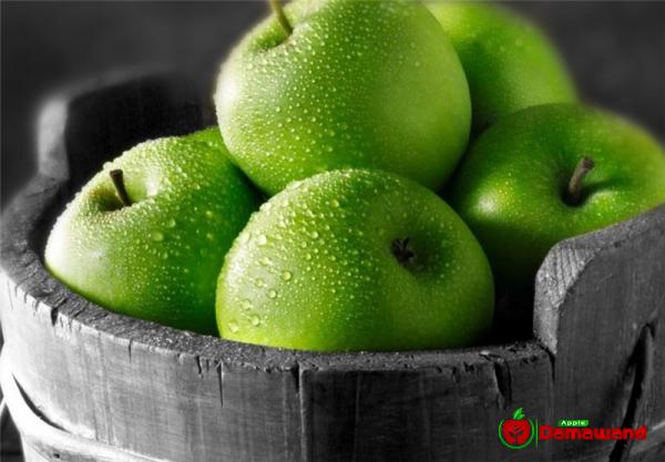 سعر كيلو التفاح الأخضر في الأسواق